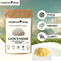 Lion's Mane Organic Powder
