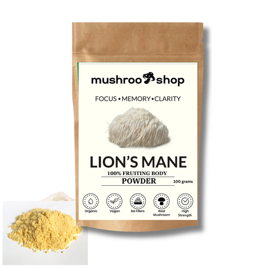 Lion's Mane Powder 100g Organic Certified Lab Tested