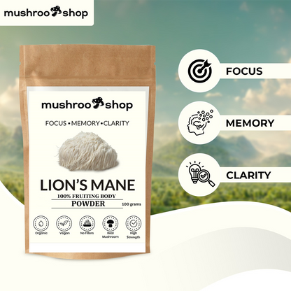 Lion's Mane Powder 100g Organic Certified Lab Tested