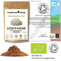 Lion's Mane Powder 100g Organic Certified Lab Tested