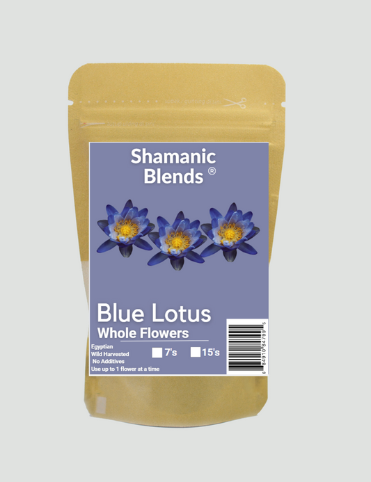 Blue Lotus Flowers