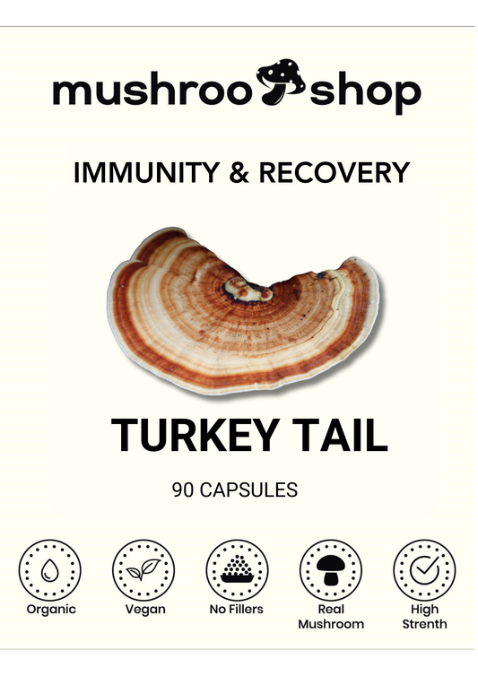 Turkey Tail Mushroom Capsules 500mg Organic & Vegan UK